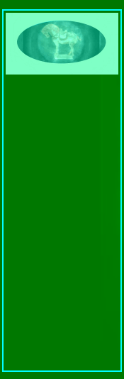 060323_elvis_toy_collection_dice001031.gif
